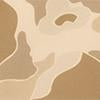 Slater Swim Trunks | Desert Camo Duck